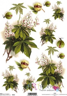 Ryžový papier A4 - ITD-R322