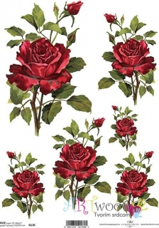 Ryžový papier A4 - ITD-R170